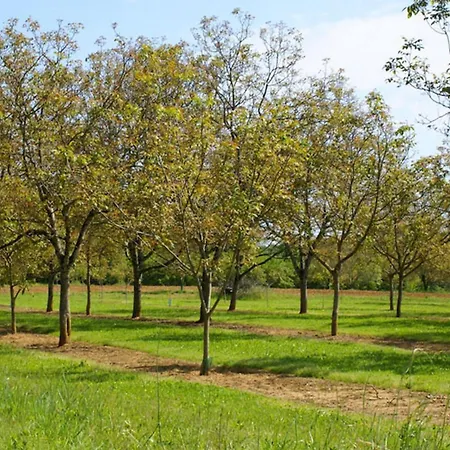 La Ferme Du Pech Saint-Genies